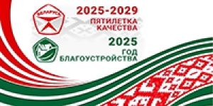 The Year of Improvement