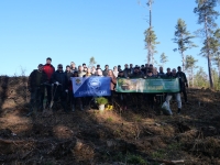 Ostrovets Forest - “New Life”