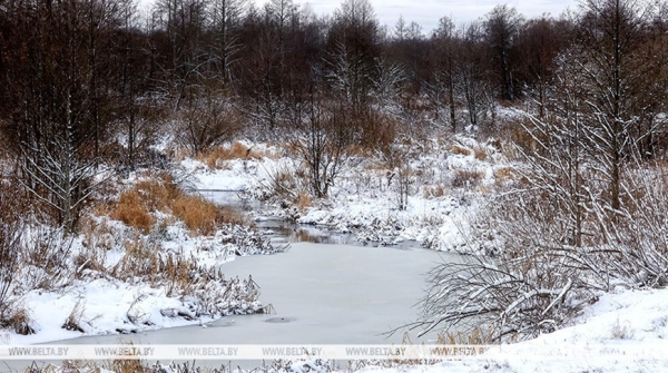 Правительство утвердило госпрограмму "Экология" на 2026-2030 годы