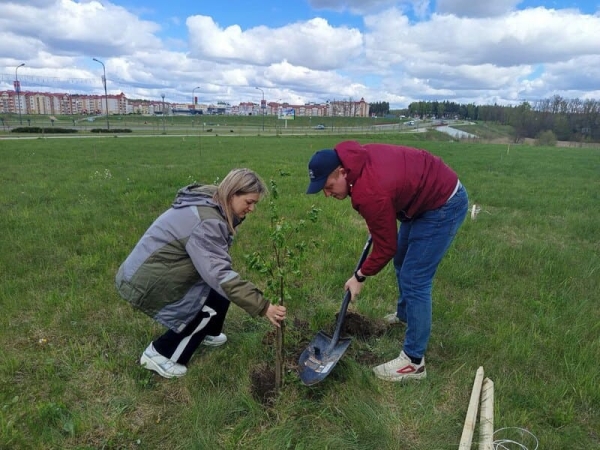 Belarusian NPP at a district clean-up day